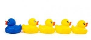 against the stream Interpersonal skills